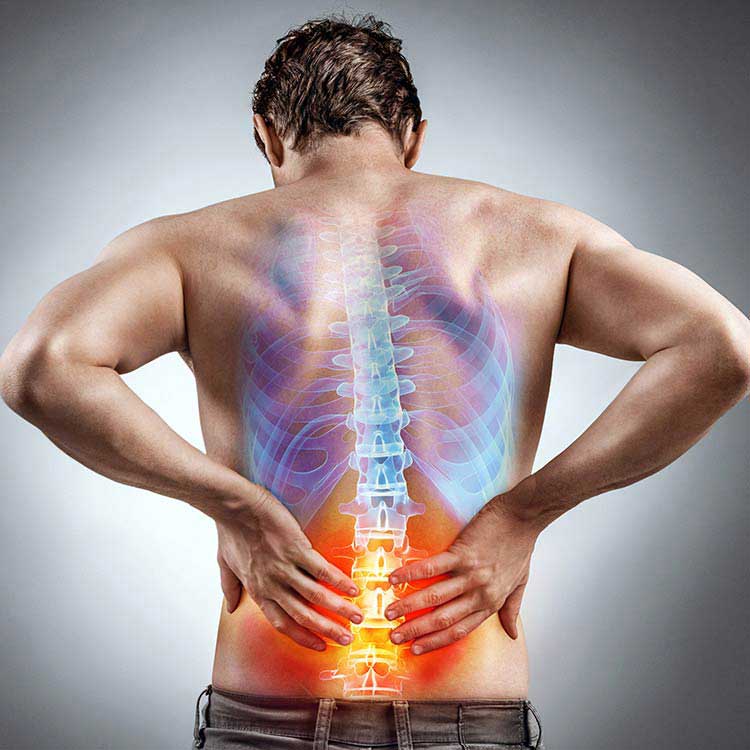 chiropractic care in Monroeville